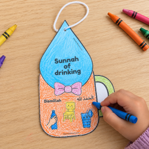 Sunnah of drinking water craft